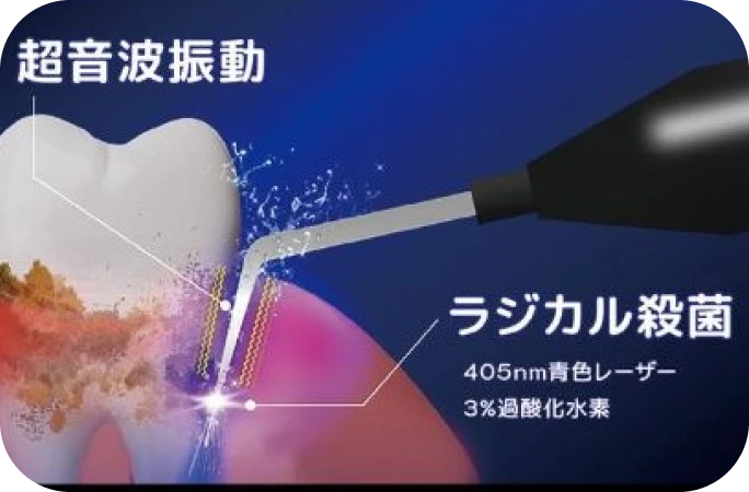 強力な殺菌効果